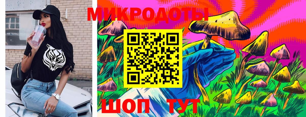Псилоцибиновые грибы Cubensis Миасс