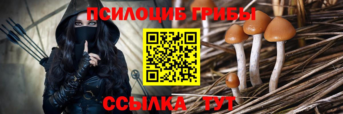 Миасс  Псилоцибиновые грибы GOLDEN TEACHER  Псилоцибиновые грибы MAGIC MUSHROOMS  закладки  Вход с VPN 
